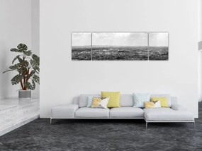 Obraz - Dachy domów w Paryżu (170x50 cm)