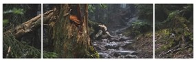 Obraz - W lesie (170x50 cm)