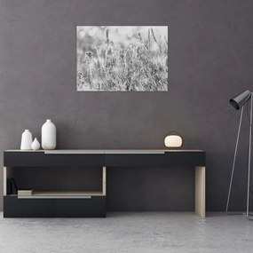 Obraz na szkle - Mroźna zima (70x50 cm)