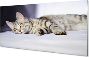 Szkło do Kuchni na Ścianę Leniwe Popołudnie na Kanapie