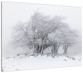 Obraz na szkle - Biała zima (70x50 cm)