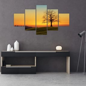 Obraz drzewa na polu (125x70 cm)