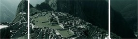 Obraz - Lamy w Machu Picchu w Peru (170x50 cm)