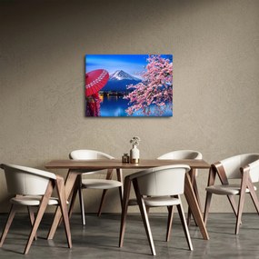 Obraz - Widok na szczyt, Japonia (70x50 cm)