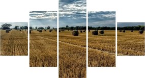 Obraz zebranego pola zboża (125x70 cm)