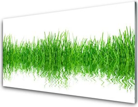 Szkło nad Blatem Naturalny Dywan Zieleni