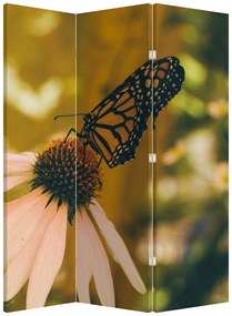 Parawan - Motyl na kwiatku (126x170 cm)
