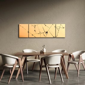 Obraz zroszonej pajęczyny (170x50 cm)