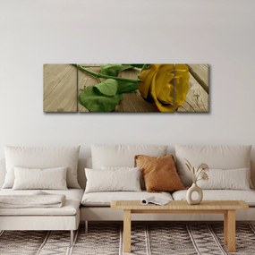 Obraz - Żółte róże w stylu vintage (170x50 cm)