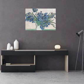 Obraz - Vincent van Gogh, Irises, reprodukcje (70x50 cm)