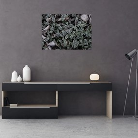 Obraz na szkle - Zamrożone rośliny (70x50 cm)