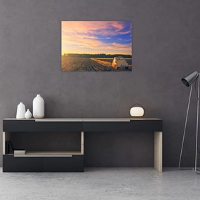 Obraz żółtego samochodu na polu (70x50 cm)