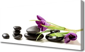 Obraz canvas Pierwsze Krokusy w Akwareli