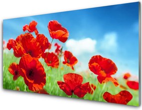 Panel Szklany Maki w Porannej Rosie