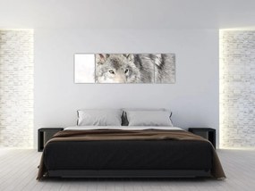Obraz - Wilk w naturze (170x50 cm)