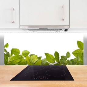 Panel nad blat kuchenny Organiczna Tekstura Liści