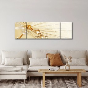 Obraz - Zdjęcie makro mniszka lekarskiego (170x50 cm)