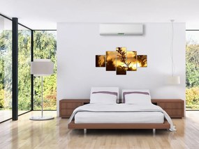 Obraz - słońce zachodzące za drzewami (125x70 cm)