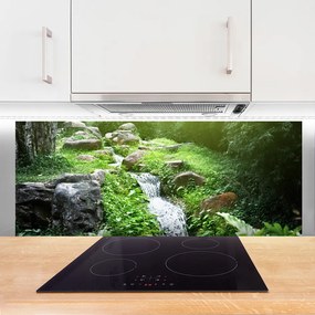 Panel Kuchenny Szumiący Potok Wśród Traw