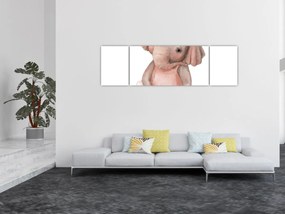 Obraz - Zwierzątko akwarelowe N⁰5 (170x50 cm)
