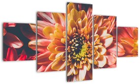 Obraz - Chryzantemy (125x70 cm)