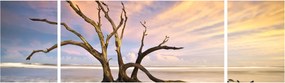 Obraz drzewa w oceanie (170x50 cm)