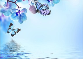 Obraz na szkle - Motyl na kwiatach orchidei, niebieski (70x50 cm)