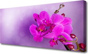 Obraz canvas Ostatnie Promienie nad Doliną