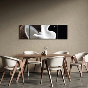 Obraz - mleko kokosowe (170x50 cm)