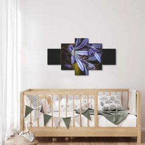 Obraz - Lilia (125x70 cm)