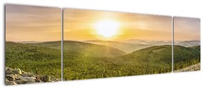Obraz panoramiczny (170x50 cm)