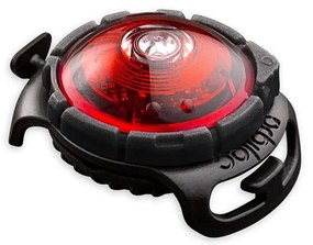 Lampka LED na obrożę Red – Orbiloc