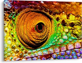 Obraz - Kameleon (70x50 cm)