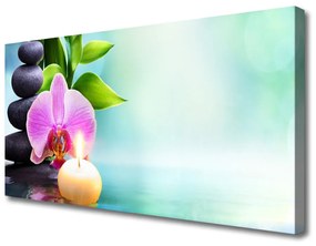 Obraz Canvas Orchidea Woda Natura