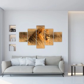 Obraz - Park Narodowy Etosha (125x70 cm)