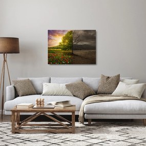 Obraz na szkle - Cykl życia (70x50 cm)