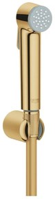 GROHE 27513GL1 - Ręczna słuchawka bidetowa TEMPESTA-F 1250 mm, złota