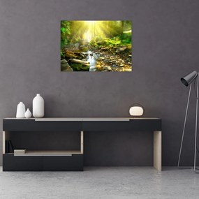 Obraz rzeki w zielonym lesie (70x50 cm)