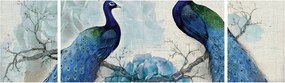 Obraz - Pawie tekstury (170x50 cm)