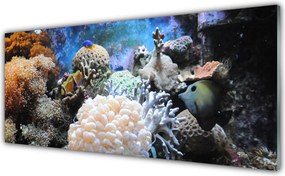 Szkło Ozdobne do Kuchni Bogactwo Oceanicznej Rafy