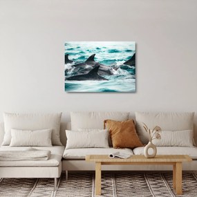 Obraz na szkle - Delfiny w oceanie (70x50 cm)