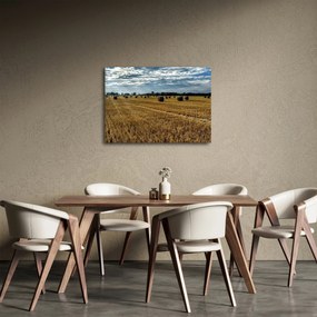 Obraz zebranego pola zboża (70x50 cm)
