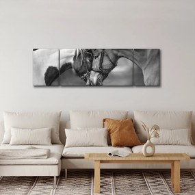 Obraz - Zakochane konie, czarno - biały (170x50 cm)