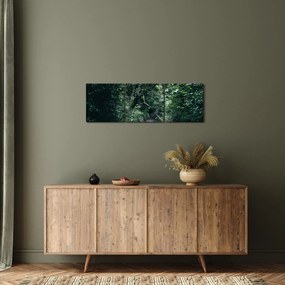 Obraz - Ścieżka przez las (z zegarem) (90x30 cm)