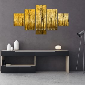 Obraz lasu o zachodzie słońca (125x70 cm)