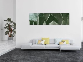 Obraz - Zielona agawa (170x50 cm)