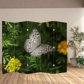 Parawan - Biały motyl (210x170 cm)