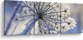 Obraz - Zamarznięty kwiat (z zegarem) (90x30 cm)