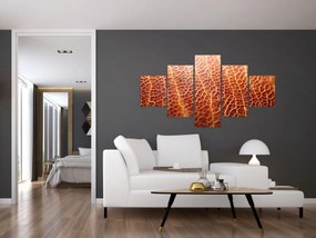 Obraz - Szczegóły tekstury (125x70 cm)