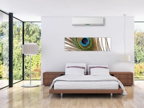 Obraz pawich piór (170x50 cm)